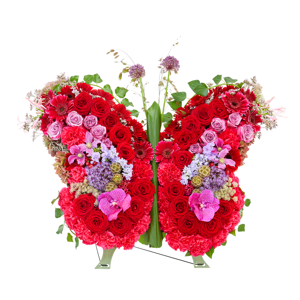 Vlinder van liefde